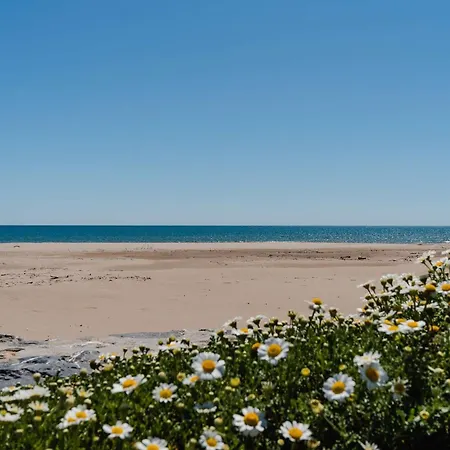 Familiale Spacieuse A Narbonne-plage Pour 6 Pers, Parking Prive, Animaux Admis - Fr-1-409-194 Villa