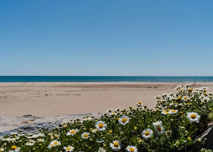 Familiale Spacieuse A Narbonne-plage Pour 6 Pers, Parking Prive, Animaux Admis - Fr-1-409-194 Βίλα